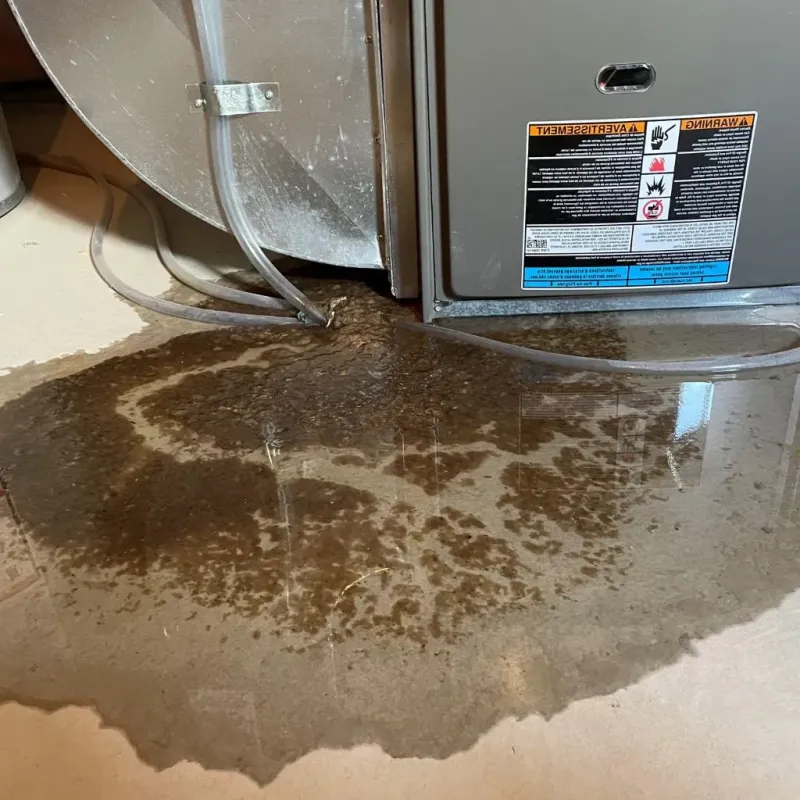 Pipe Burst and Leak Restoration in Ishpeming, MI